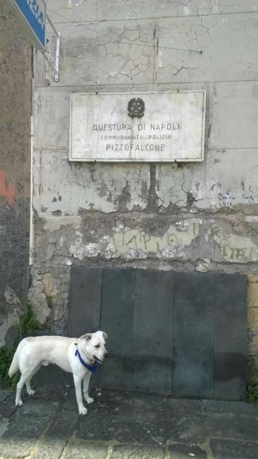 Casa Antica Pizzofalcone Napoli Ngoại thất bức ảnh